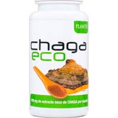 Chaga Eco 45Cap Artesanato
