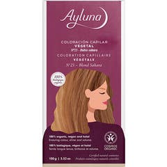 Ayluna Vegetable Colouring 25 Sahara Blonde 100g