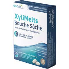 XyliMelts Boca Seca Sabor Suave a Açúcar Sem Açúcar 40comp
