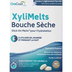 XyliMelts Boca Seca Sabor Suave a Açúcar Sem Açúcar 40comp