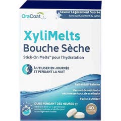 XyliMelts Boca Seca Sabor Suave a Açúcar Sem Açúcar 40comp