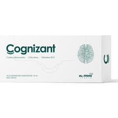 Mc Stone Italia Cognizant 10uds