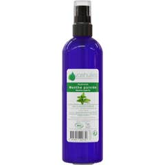 Voshuiles Hidrossol Hortelã-Pimenta Cosmos 200 ml