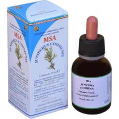 Herboplanet MSA Juniperus Commun 50ml