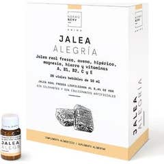 Normonerv Royal Jelly Joy Herbora 20 frascos