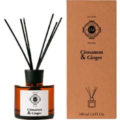 Iap Pharma Mikado Aroma Canela e Gengibre 100 ml