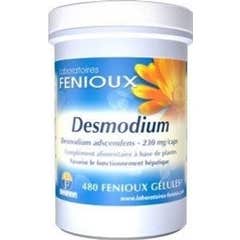 Fenioux Desmodium 480caps