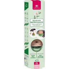 Propharex Car Air Freshener 0% #Night Lady 6 ml