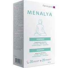 Bailleul-Biorga Menalya Menopausa 25 Gel+28 Cápsulas Suaves