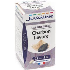 Juvamine Charbon + Levure Gaz Intestinaux 45 Gélules JUVAMINE,