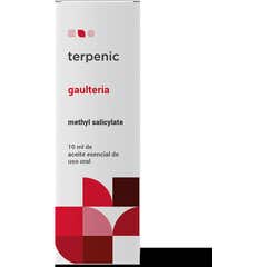 Terpenic Wintergreen 10ml