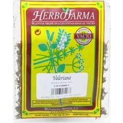 Herbofarma Valeriana Al Vacio 50 G