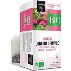 Dayang Infusão Bio Conforto Urinário 20x1,5 g