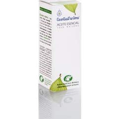 Essência Essência de Pinheiro das Landes Aroms 10ml