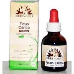 Herbicidas Fitoblastos Ficus Charge 50Ml