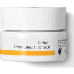 Dr Hauschka Creme de Lábios Anti-rugas 4,5ml Dr Hauschka Creme de Lábios Anti-rugas 4,5ml