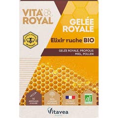 Vitavea Vita'Royal Jalea Real Elixir de Colmena Bio 10 Ampollas