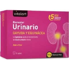 Vitalart Vitalart Bienestar Urinario 10 Sobres Vitalart Vitalart Bienestar Urinario 10 Sobres