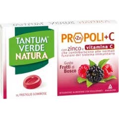 Tantum Green Nature 15Past Fruta