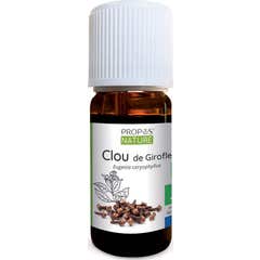 Proposta de Óleo Essencial de Cravo Orgânico 10ml