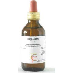 Centro Fiori Ribes Gemme Glicerina Macerado 100ml