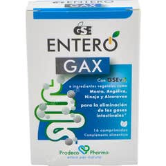 Gse Entero Gax Digestivo Rápido com Grapefruit Seed 12comp