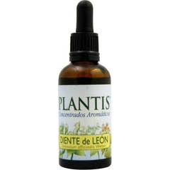 Extrato de Dente de Leão Maese Herbario 50ml