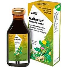 Fórmula à base de plantas Salus Floradix Intestcare ™ 250ml