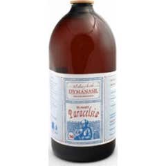 Paracelsia Dymanasil Organic Silicon 1 L