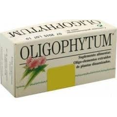 Oligophytum Cu Au Ag Gran 300