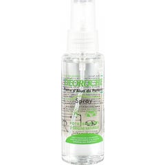 Deoroche Spray Desodorante 120ml