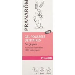Prananarm PranaBBBBB Organic Dental Shoots Gengival Gel 15g