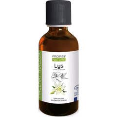 Proposta de Aceite Natural Esencial Lys 50ml