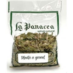 Cardo de Leite La Pastorcilla 50g