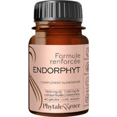 Ftalessence Endorphyt Renfor 40comp