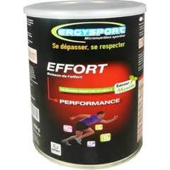 Ergysport Effort Mint 450G