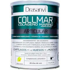 Drasanvi Collmar Articular Limão 280g