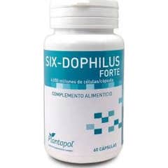 PlantaPol Seis-Dophilus Forte 60caps PlantaPol Seis-Dophilus Forte 60caps