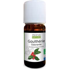 Proposta de Óleo Essencial Orgânico da Natureza Gaultheria Odorante 10ml