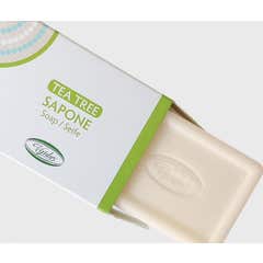 Vividus Tea Tree Aloe Soap 300g