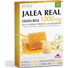 Intersa Royal Jelly Adults 1000mg 20 Ampolas Intersa Royal Jelly Adults 1000mg 20 Ampolas