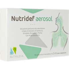 Aerosol Nutridef 10F 3Ml
