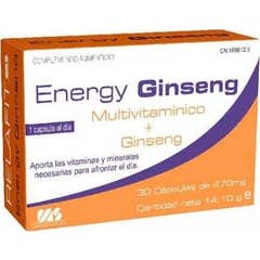 Relafit Ms Energy-Ginseng 30caps