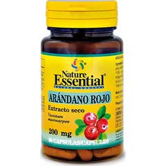 Horizontes Natureza Cranberry E.S 200Mg 60Cap