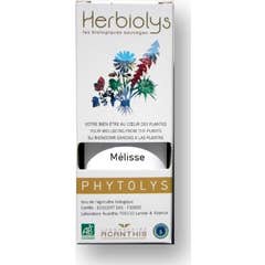 Herbiolys Fitoterapia Melisa Orgânica 50ml