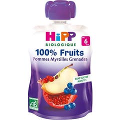 Hipp Apple Blueberry Pomegranate Compote 90g