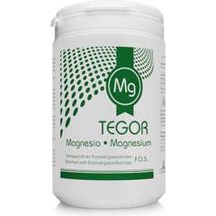 Tegor Magnésio em Pó 180g