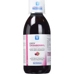 Nutergia Suplemento Ergycranberryl 250ml