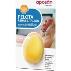 Apostan Dynamic Pelota Rehabilitation Ball Media