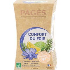 Páginas de Conforto Infusão Hepática Sach20